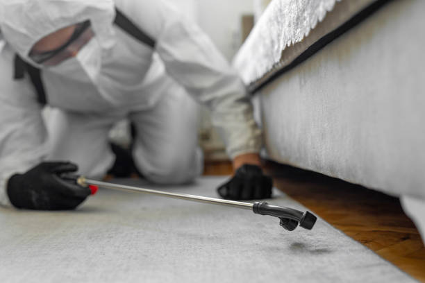 Professional Termite Control technician working in Clifton, NJ