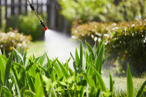 24/7 Emergency Termite Control experts in Clifton, NJ