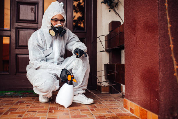 Reliable Termite Control contractor in Clifton, NJ by Nex Pest Control